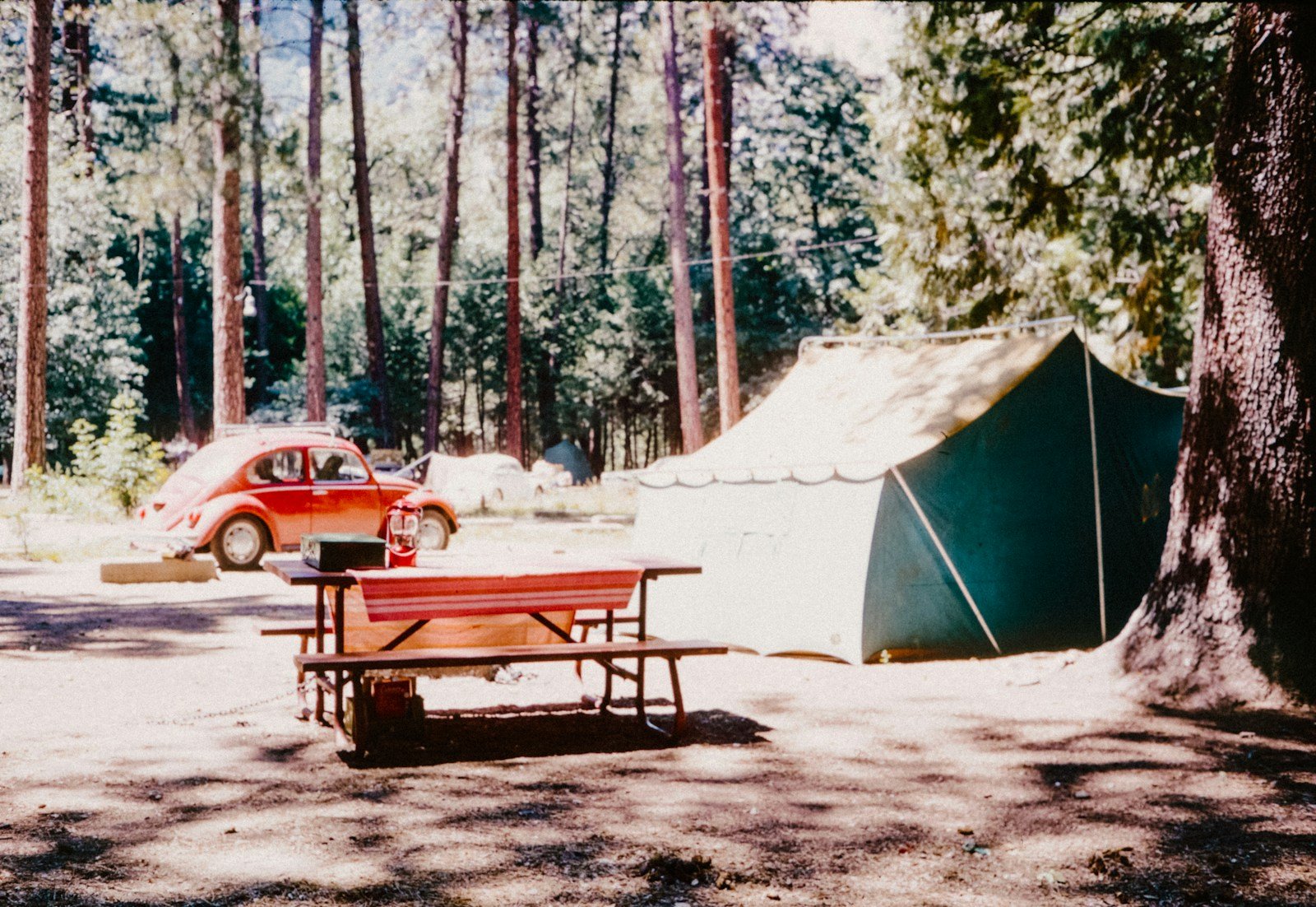 RV camp with kids near Yellowstone