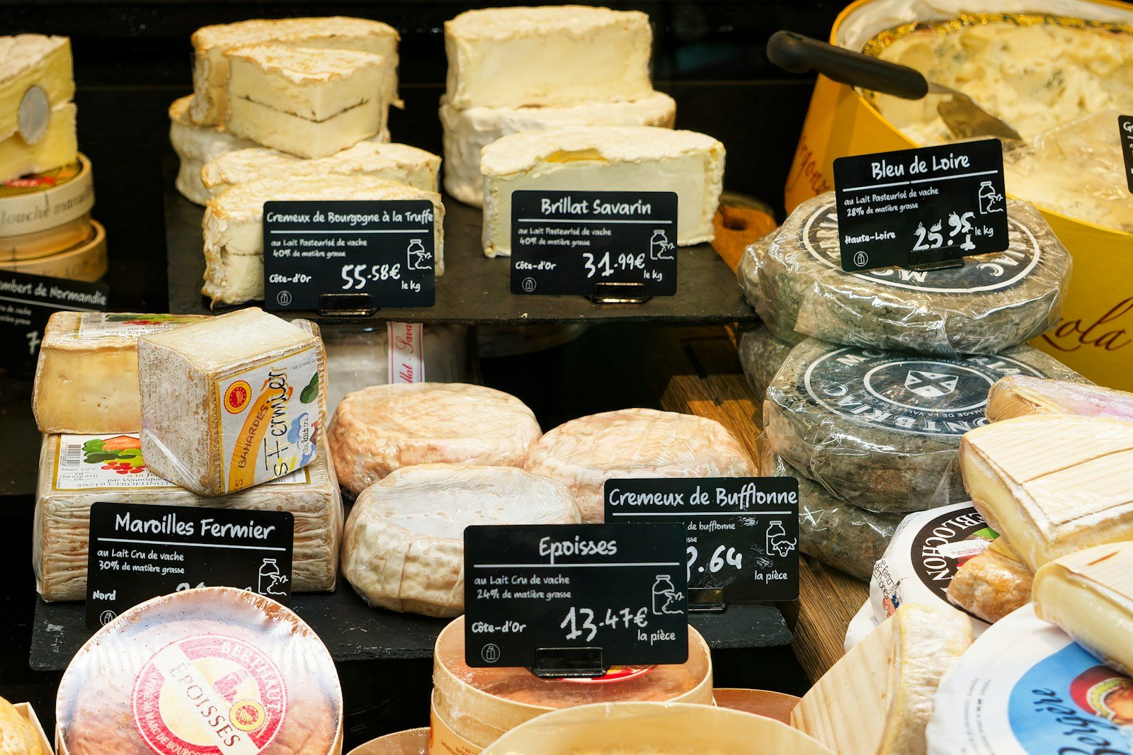 cheese tasting in France